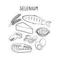 Selenium-containing food. Groups of healthy products containing vitamins and minerals. Set of fruits, vegetables, meats