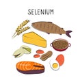 Selenium-containing food. Groups of healthy products containing vitamins and minerals. Set of fruits, vegetables, meats