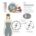 Selenium. The effect of minerals on human health. A healthy diet and a healthy lifestyle.