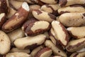 Selenium rich foods and vegan diet concept with close up on full frame pile Brazil nuts