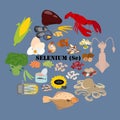 Selenium Se microelement in food vector illustration