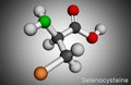 Selenocysteine, L-selenocysteine, Sec, U molecule. It is proteinogenic amino acid, selenium analogue of cysteine, building block