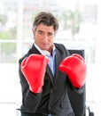 Self-assured businessman wearing boxing gloves