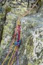 Clove hitch knot on a carabiner HMS. Royalty Free Stock Photo