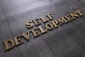 Self Development, Business Words Quotes Concept