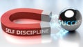 Self discipline helps achieving success - pictured as word Self discipline and a magnet, to symbolize that Self discipline