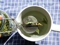 self-dried herbal tea with a tea egg filled with herbal tea above a cup of herbal tea Royalty Free Stock Photo