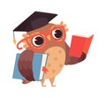 Self education. Owl reading books, isolated smart character. Cartoon bird with glasses studying vector illustration Royalty Free Stock Photo