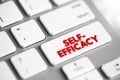 Self-efficacy is an individual\'s belief in their capacity to act in the ways necessary to reach specific goals, text concept