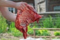 Self-employed local man butchering farm sheep carcass Royalty Free Stock Photo