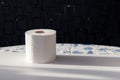 Self isolation cocnept depicted with a toilet roll Royalty Free Stock Photo
