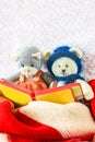 Self knitted kitty cat and teddy bear are reading a book Royalty Free Stock Photo