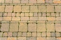 Self-locking concrete outdoor flooring in square and rectangular shapes