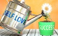 Self love helps achieving success - pictured as word Self love on a watering can to symbolize that Self love makes success grow