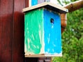 Self made birdhouse painted by a kid in green and blue hanging on the wooden wall.The concept of early development, hand made Royalty Free Stock Photo