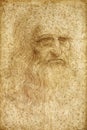 Leonardo Da Vinci selfportrait 