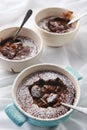 Self saucing chocolate pudding Royalty Free Stock Photo