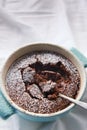 Self saucing chocolate pudding Royalty Free Stock Photo