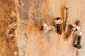 Self-tapping screws Royalty Free Stock Photo