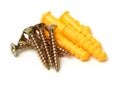 Self-tapping screws and wall plugs Royalty Free Stock Photo