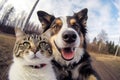 Selfie Cat Portrait, Two Cats Make Self Picture Royalty Free Stock Photo