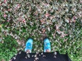 Selfie of feet and sneaker stand on green grass background