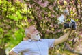 Selfie time. photographer man take sakura cheery blossom photo. Cherry blossoming garden. photographer taking photos of Royalty Free Stock Photo