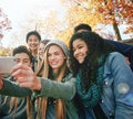 Selfie, young or friends in park for social media, online post or profile picture in nature. Smile, teenage group of Royalty Free Stock Photo