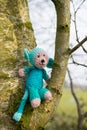 Selfmade stuffed monkey in tree Royalty Free Stock Photo