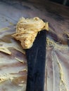 Selfmade sugar cane paste on a stick