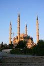 Selimiye Mosque Royalty Free Stock Photo