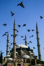 Selimiye Mosque, Edirne, Turkey Royalty Free Stock Photo