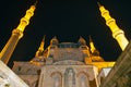 Selimiye Mosque. Edirne Selimiye Mosque view from backyard at night. Royalty Free Stock Photo