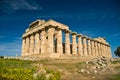 Selinunte Temple in spring Royalty Free Stock Photo