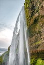 Seljalandsfoss, Iceland, one of the biggest waterfall in Iceland Seljalandsfoss. Beautiful Icelandic landscape, huge cliff, and