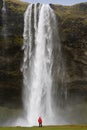 Seljalandsfoss Waterfall - Iceland