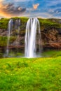 Seljalandsfoss waterfall in Iceland at sunset, amazing summer landscape with green flowering meadow and falling water, travel