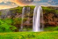 Seljalandsfoss waterfall in Iceland at sunset, amazing summer landscape with green flowering meadow and falling water, travel