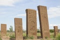 Seljuks cemetery Royalty Free Stock Photo