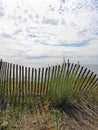 Sandy Island sand dune fence shadows