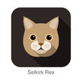 Selkirk Rex Cat, Cat breed face cartoon flat icon design Royalty Free Stock Photo