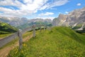 Sella group mountains on the right and Cir mountains on the left viewed from a hiking path above Selva with yellow flowers and Royalty Free Stock Photo