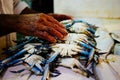 Seller hands putting fresh crabs at a fish market Royalty Free Stock Photo