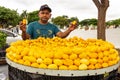 Pequi, Caryocar brasiliense, typical Brazilian fruit.