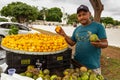 Pequi, Caryocar brasiliense, typical Brazilian fruit.