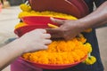 Seller`s hand picking a tray of fresh marigold garland for a buyer.