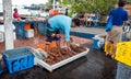 Seller sell fresh and cheap price big size lobsters at the Santa Cruz Fish Market