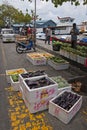 Fresh produce vendor selling vegetables: winter melon, eggplant and fruits papaya along Boduthakurufaanu Magu at Male, Maldives