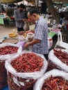 Selling chilies in Sanpatong buffalo market in Chiang Mai Thailand