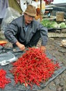 Selling Chillies Royalty Free Stock Photo